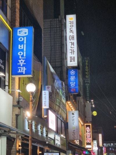사진 6
