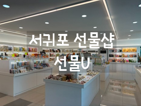  [서귀포 소품샵] 제주도 선물샵 선물U