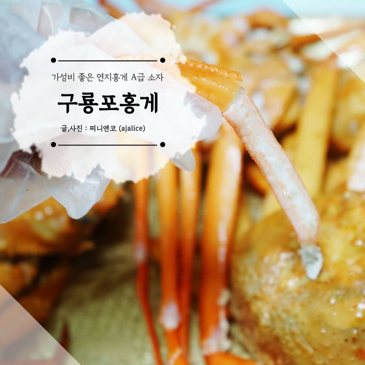 구룡포 연지홍게 신선하고 맛있게 집에서 먹어요 구룡포 연지홍게 신선하고 맛있게 집에서 먹어요
