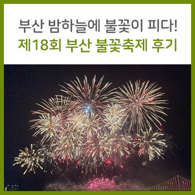 부산 밤하늘에 불꽃이 피다! 제18회 부산 불꽃축제 후기