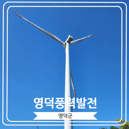 [영덕풍력발전] 거대한 풍력발전기들이 돌아가는 바람의 언덕