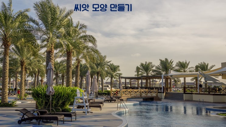 씨앗 모양 만들기 씨앗 모양 만들기