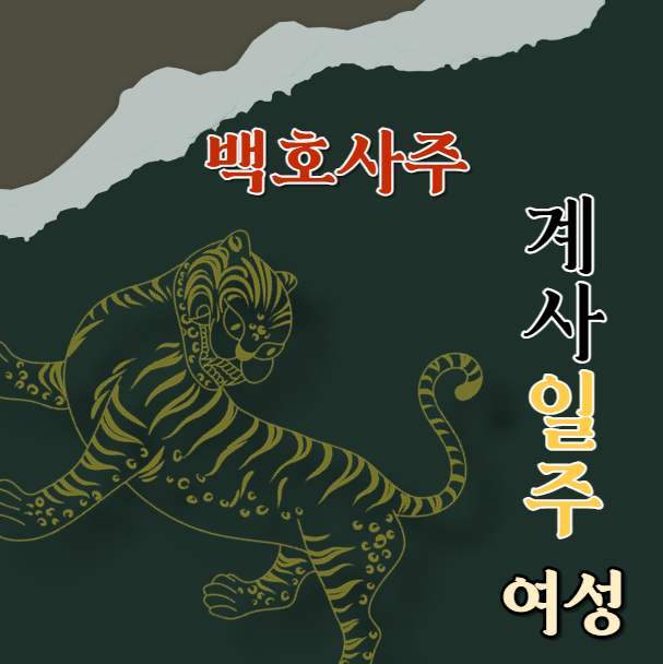  계사 일주 여성의 특징과 성공 요소 그리고 건강 팁