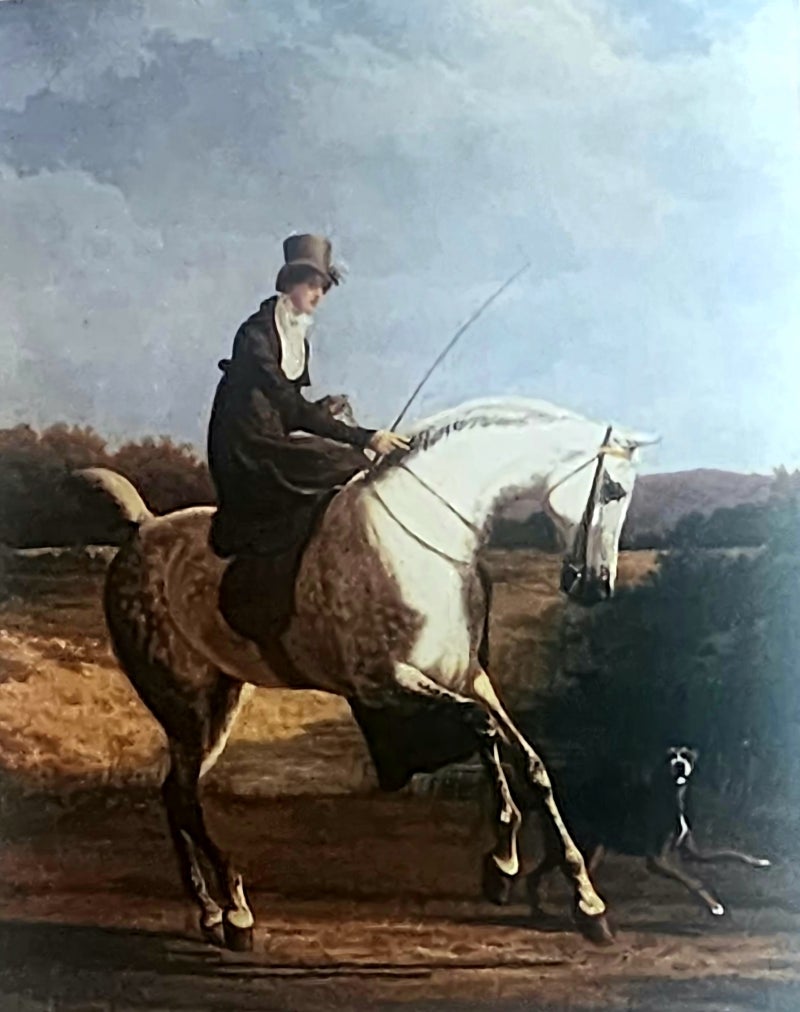 인도가 지출을 주도하는 가운데 워싱턴 DC, 기록적인 관광객 수 달성, image size:800x1012