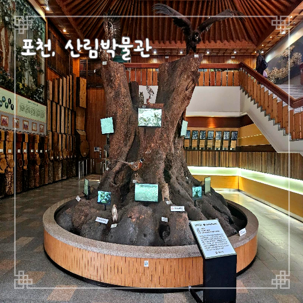  포천 국립수목원 산림박물관 아이와 가볼만한 곳