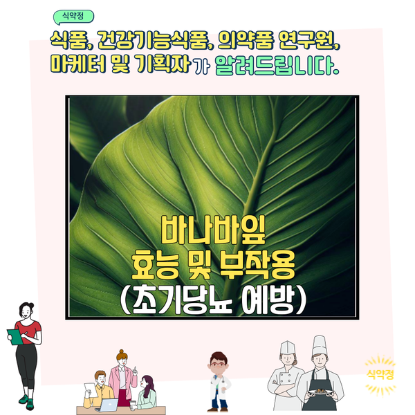  바나바잎차 효능 및 부작용 (초기 당뇨 예방)