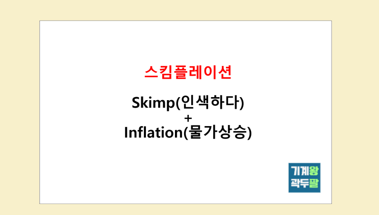  스킴플레이션 정확한 뜻!