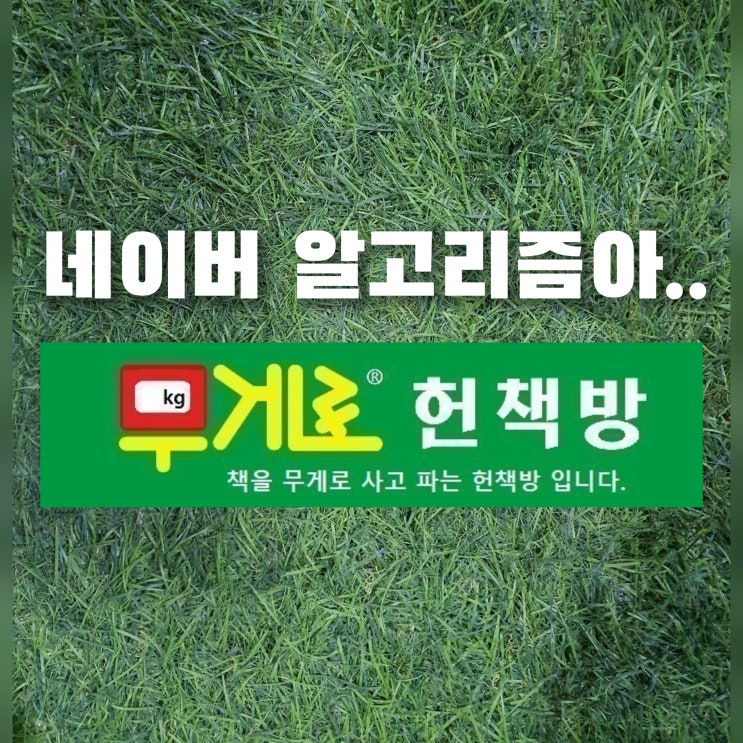  네이버 알고리즘아 한방에 ️ 블로그 검색 누락 요렇게 많이 해버리면 나 어떡하라고..