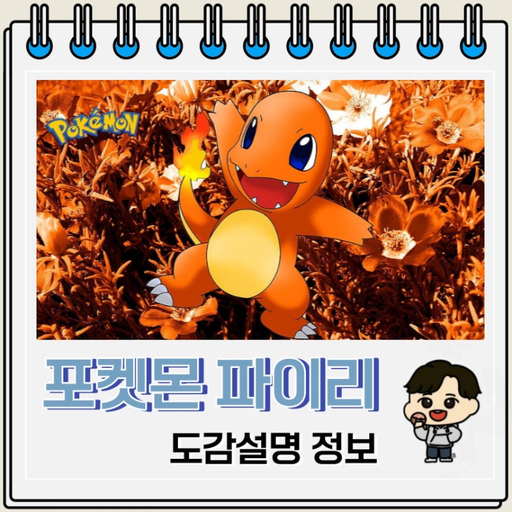 포켓몬스터 파이리 도감설명 정보 포켓몬스터 파이리 도감설명 정보