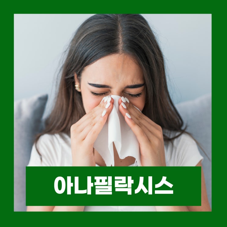  아낙필락시스 쇼크 아나필락시스 원인 증상 치료