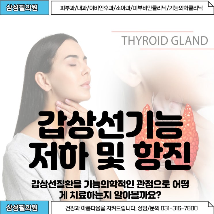  갑상선질환의 기능의학적 접근방법을 알아볼까요?(교감,부교감신경과의 연관성을 중심으로)