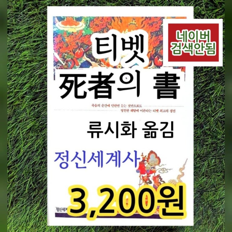  죽음에 관하여 | 티벳 사자의 서  (티베트 死者의 書) 3,200원 파드마삼바바 류시화 옮김 정신세계사 사후세계 죽음 관련 책 중고