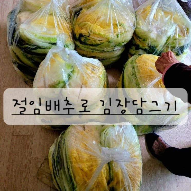  절임배추로 김장김치 담그기 보쌈 삶는법