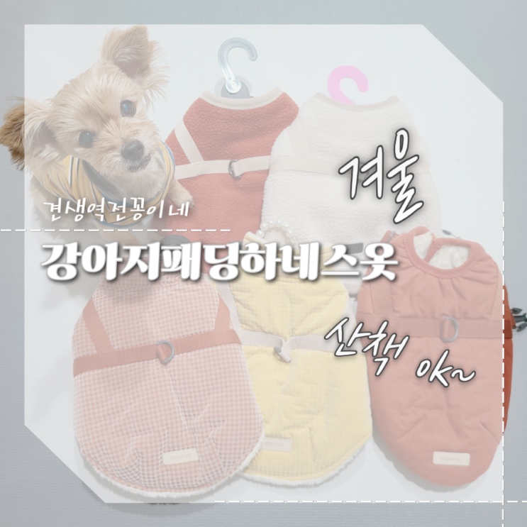  강아지 하네스 옷 겨울산책 애견패딩 추천 f.내돈내산