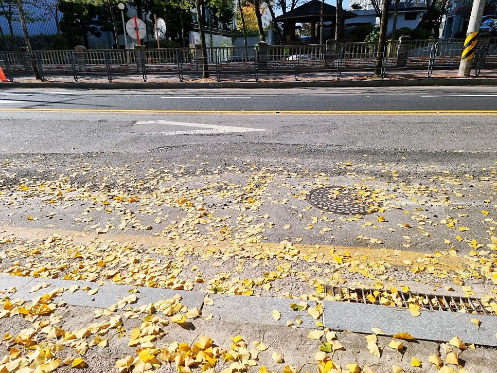 파리바게뜨 대전정림점 사진 2