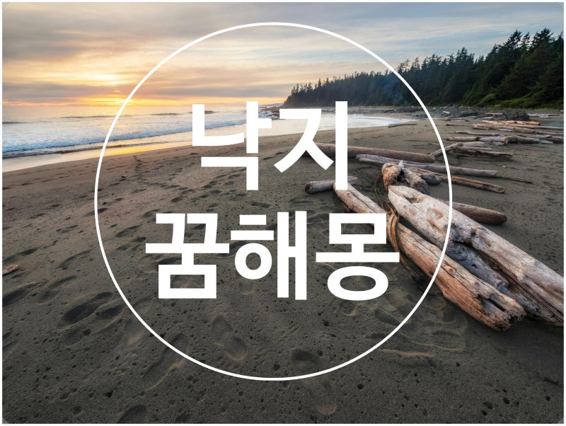 갯벌에서 낙지 잡는 꿈 갯벌에서 낙지가 기어가는 꿈