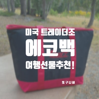  트레이더조 에코백 보냉백, 미국 여행 선물 기념품 추천!
