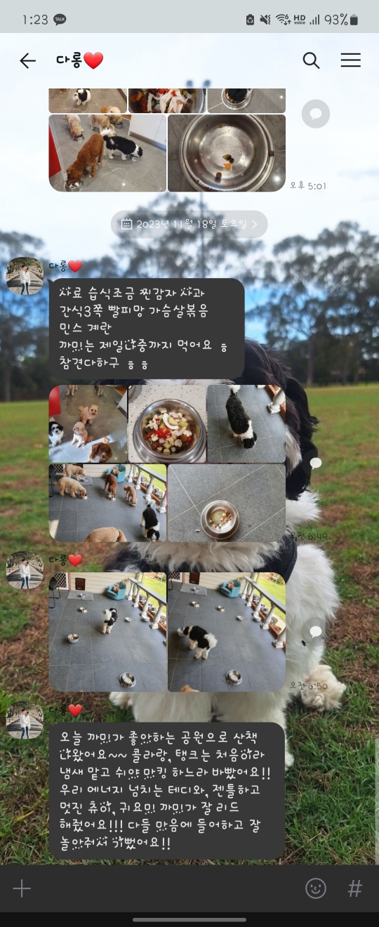  11/18 토요일 까미의 하루.
