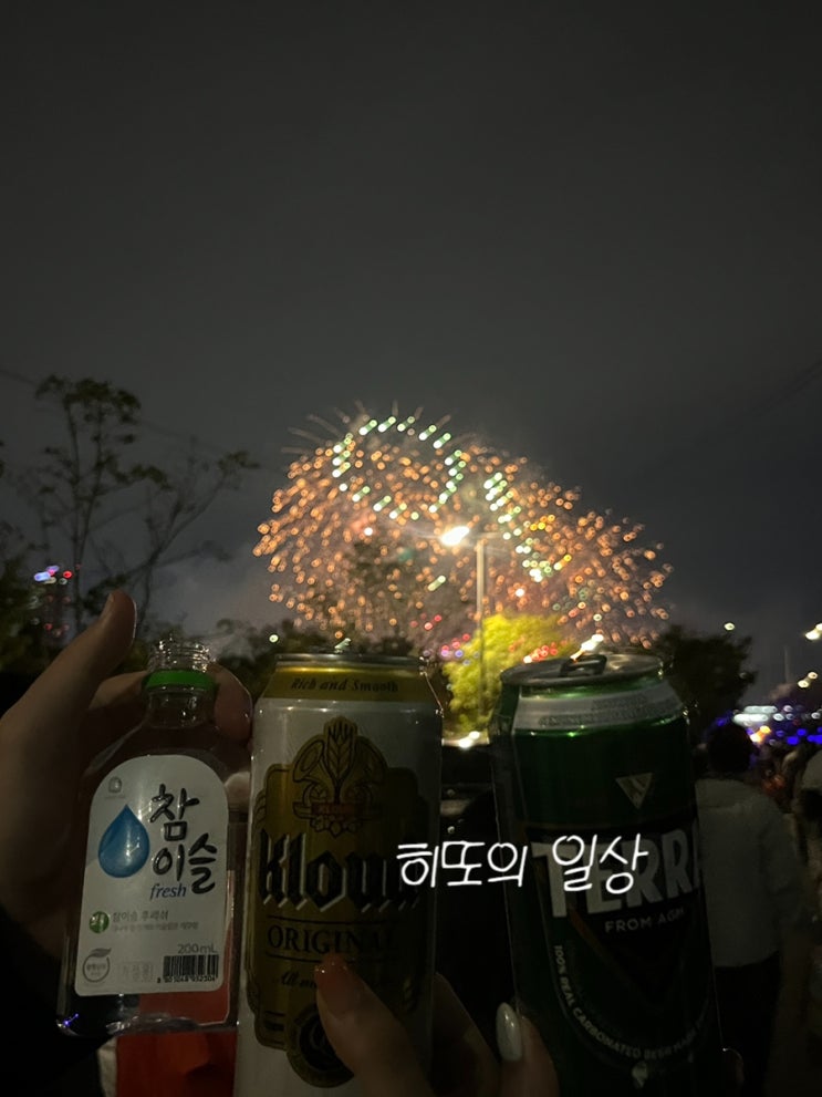  제주팸과 서울여행기 / 여의도 불꽃놀이 / 한강 피크닉 / 언니들 사랑훼️