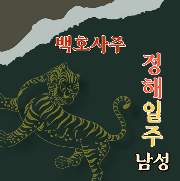  정해일주 丁亥 남자의 성격, 연애 스타일 및 적합한 직업에 대한 깊이 있는 분석