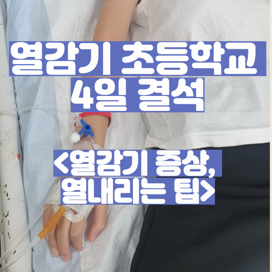  열감기 초등학교 4일 결석 (열감기 증상, 열 내리는 팁)