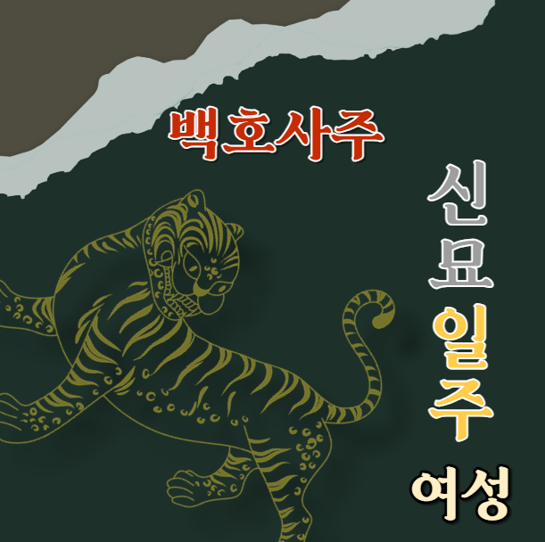  신묘일주 여자의 특징과 재물 관리 방법, 그리고 건강 팁