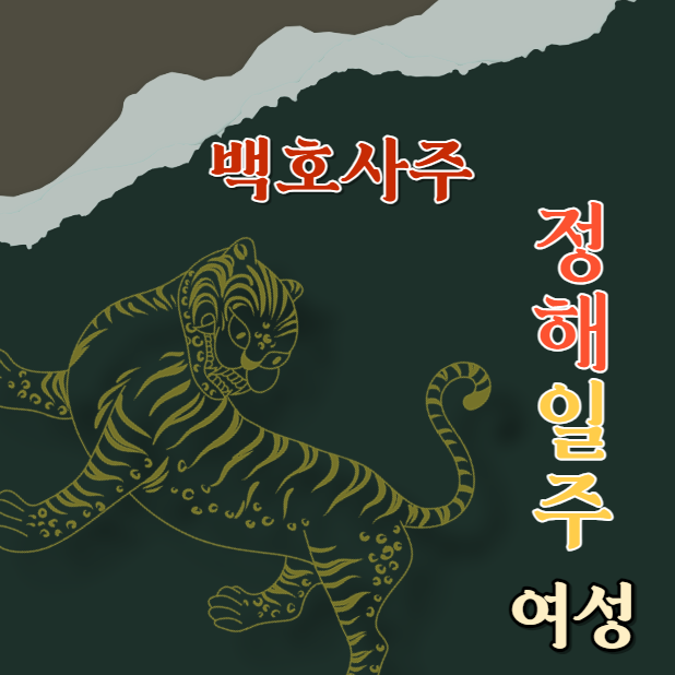  정해일주 여성의 성격, 연애 스타일 및 적합한 직업에 대한 깊이 있는 탐구