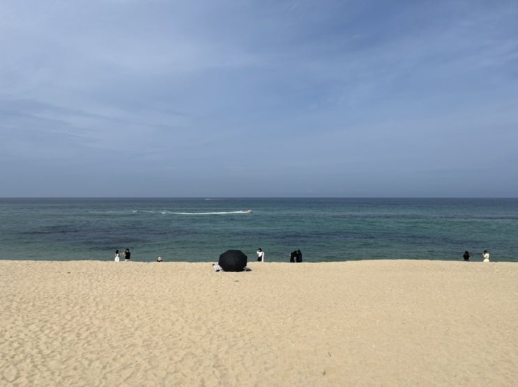  강릉여행 안목해변, 가을 바다와 함께 하는 해변 모래사장 산책!