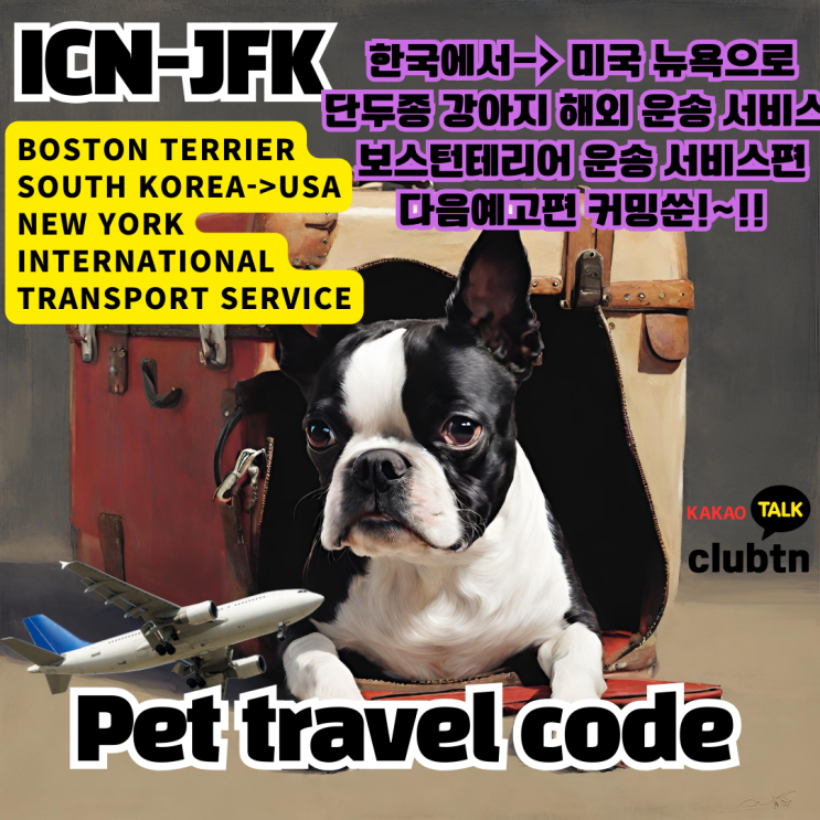 강아지 고양이 대형견 단두종 보스턴 테리어 한국에서 미국 뉴욕 해외운송 검역 통관 [카고 서비스] 다음예고편