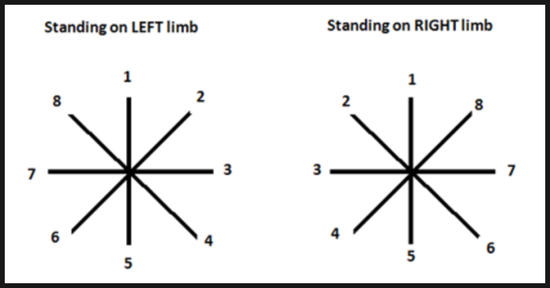 SEBT(star excursion balance test) / 한 발 서기 발목 불안정성 검사 : 네이버 블로그