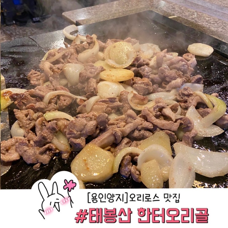  용인 근교 오리고기맛집 찾는다면 태봉산 한터오리골! 회식장소추