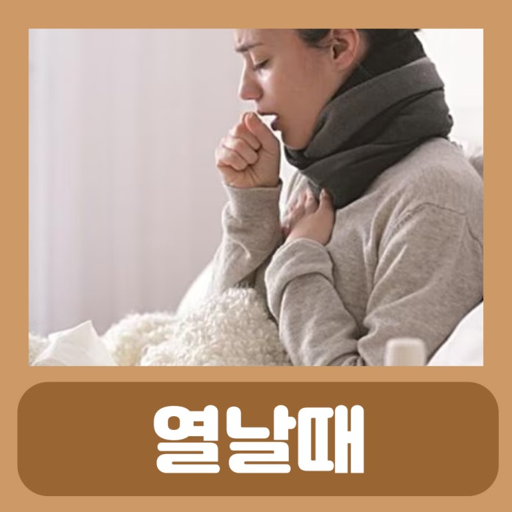  성인 열날때 대처 미열 고열 기준 지속 열내리는법