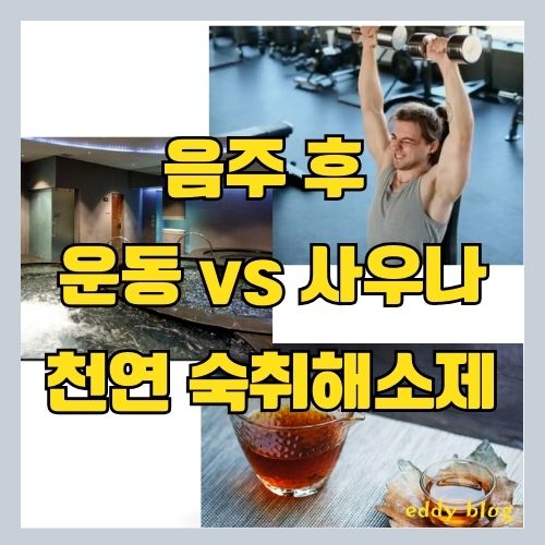  한의학 박사가 알려주는 천연 숙취해소제(차)와 술먹고운동 vs 술먹고 사우나