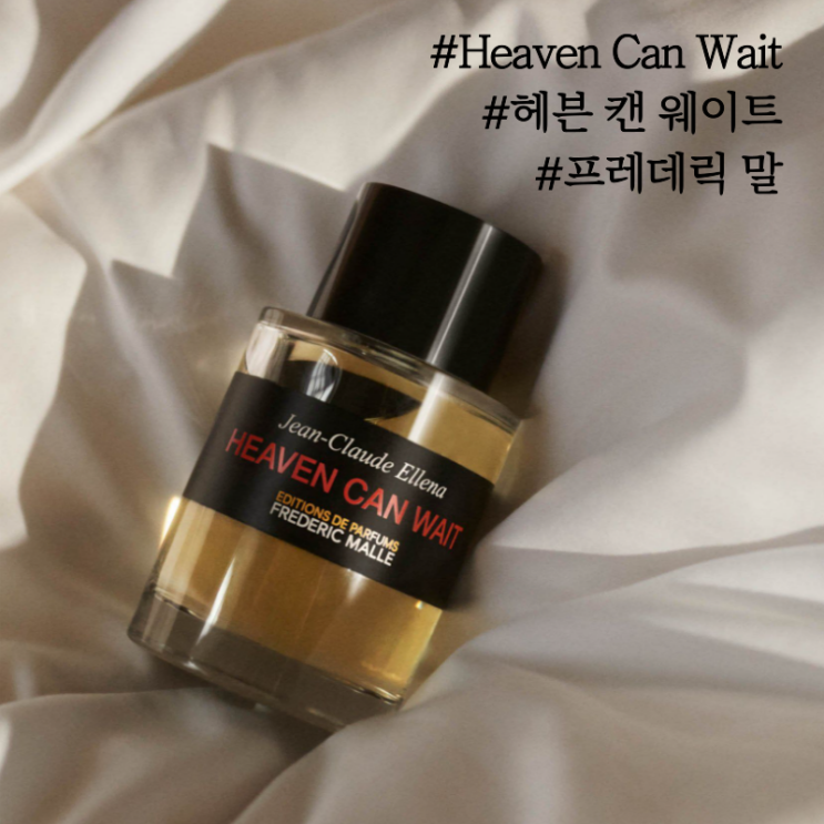  [프레데릭 말] 헤븐 캔 웨이트 상품 리뷰 + 해외 반응