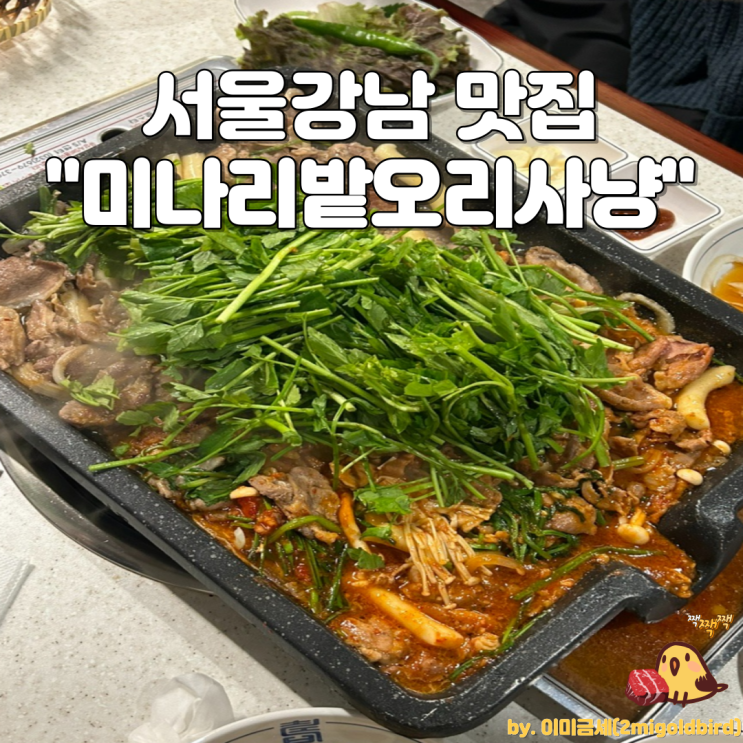 강남 오리고기 맛집“미나리밭오리사냥 강남역점”_(feat. 볶음밥 필수)