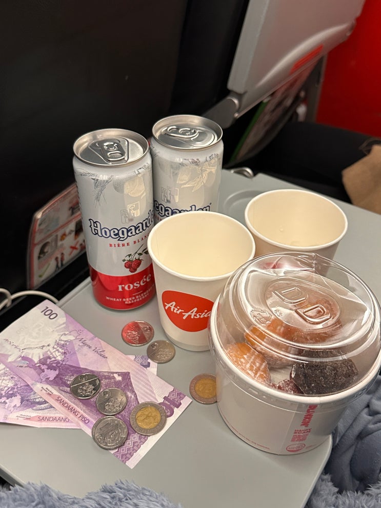  세부 3박 5일 자유여행 1. 인천공항 제1여객터미널 에어아시아 체크인, 기내수하물 무게, 비행기 먹방, 세관신고서 작성