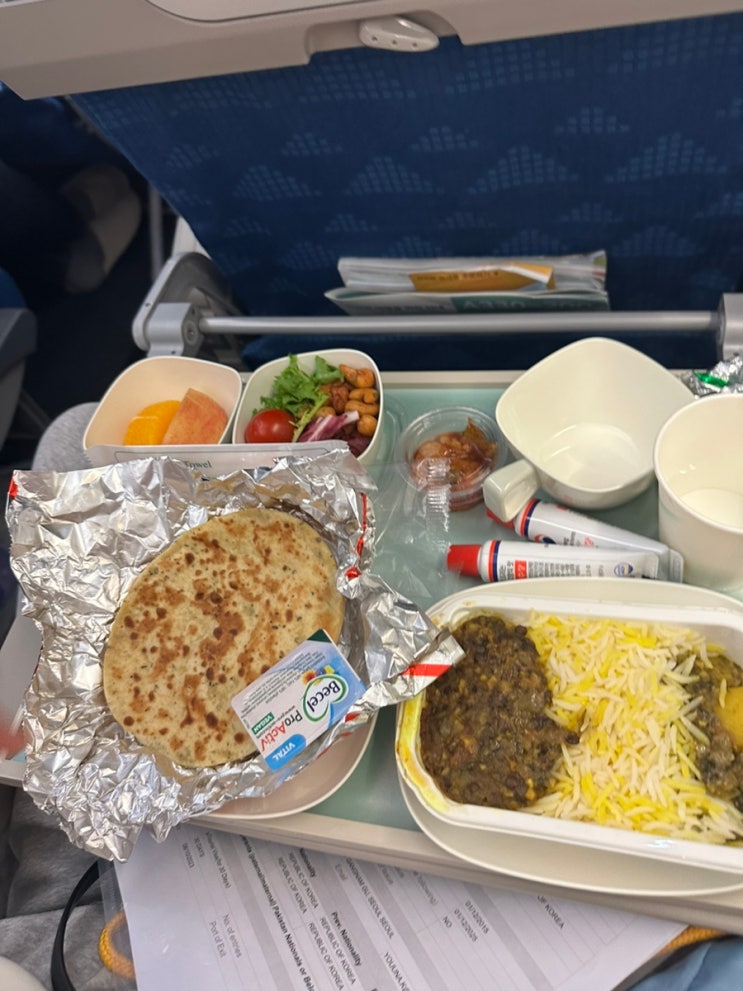  [북인도 라다크 여행1] 인도 여행 준비: 예방접종, 한국도심공항, 델리 공항, 와이파이