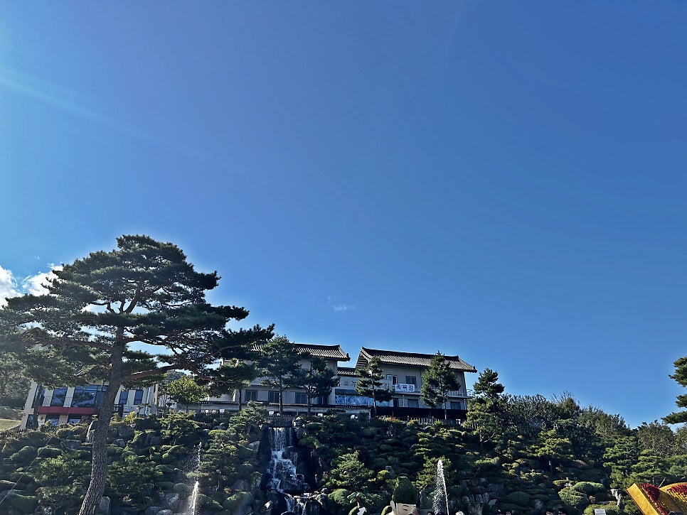 동의보감한의원 사진 5