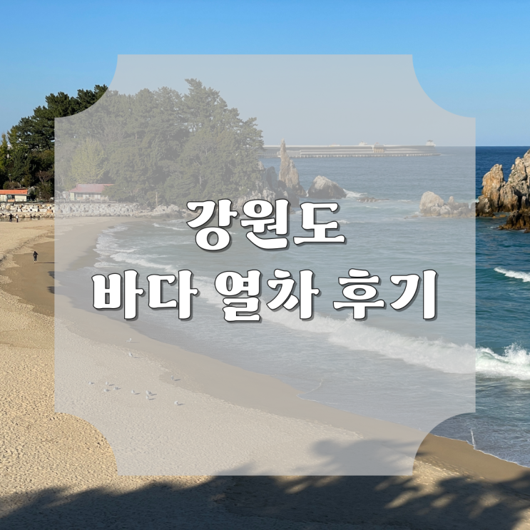  12월 25일 마지막 운행하는 강원도 바다 열차 후기