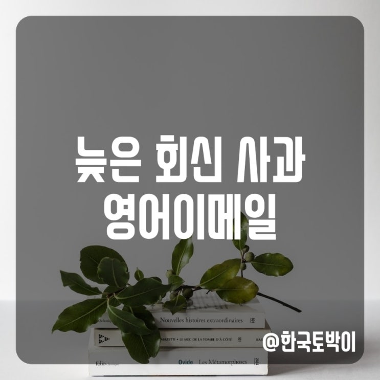  회신 늦었을 때 실수 사과 영어이메일 표현