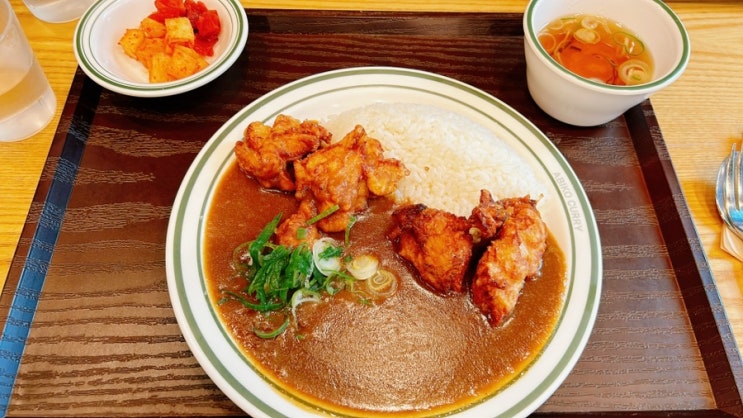  [맛집] 강남역 아비꼬카레_내돈내산