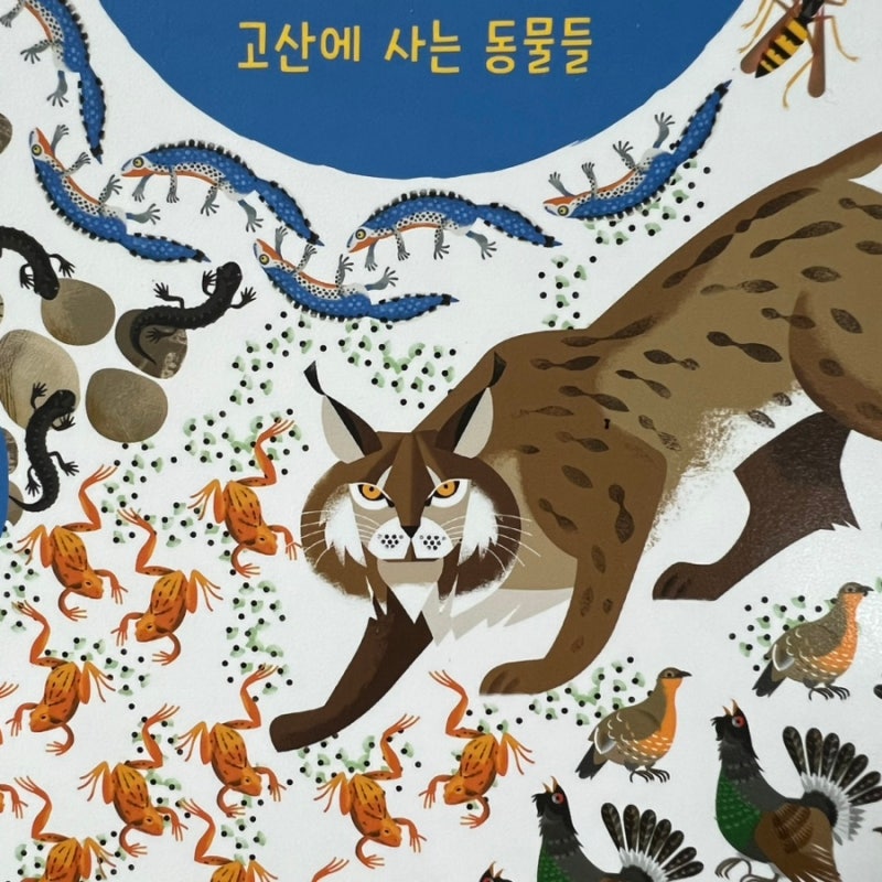 블로그 후기 사진