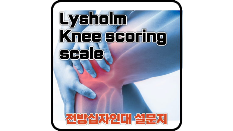 Lysholm 설문지 / 전방십자인대 무릎관절 기능, 증상 평가 설문지
