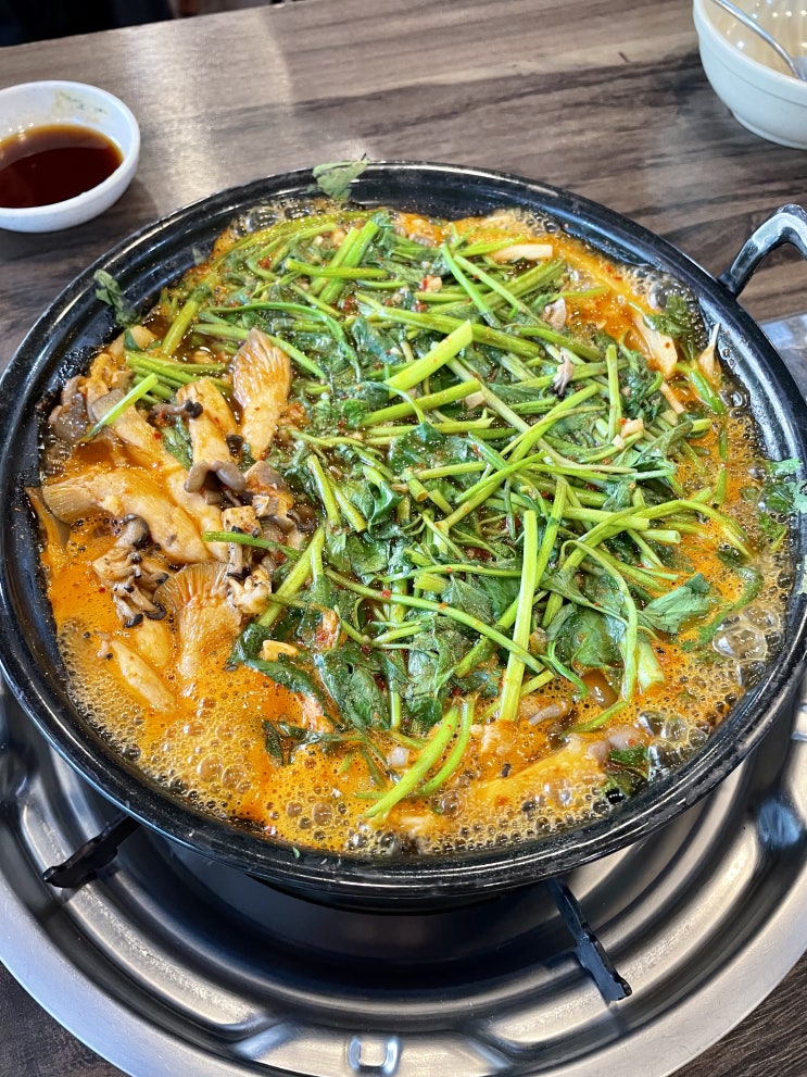 우리 가족의 최애 맛집 가성비 좋은 쌍용동 등촌샤브칼국수 / 천안식후감