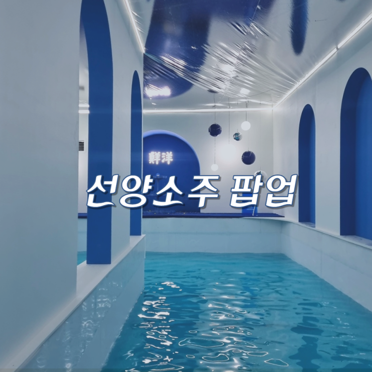  성수 선양소주 배타고 들어가는 팝업 스토어