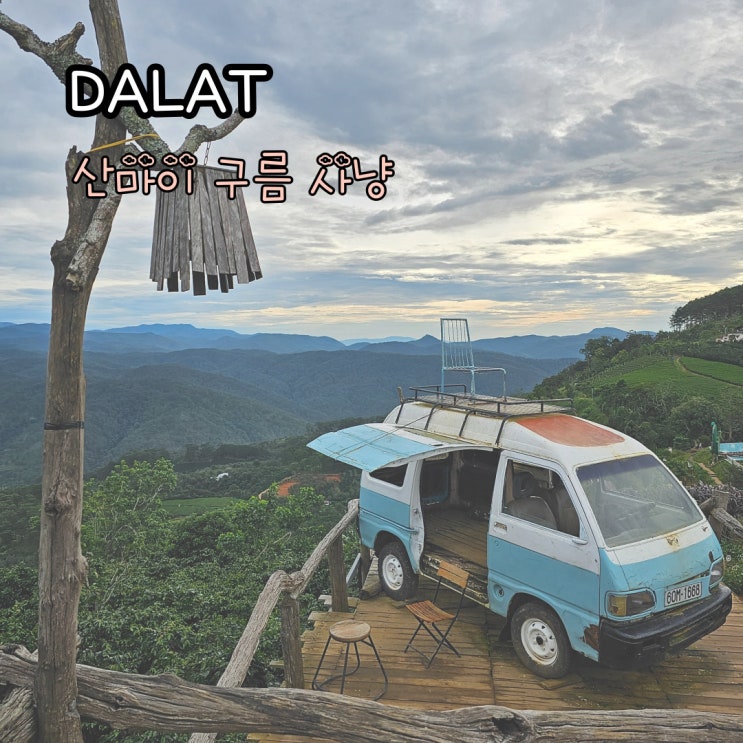  달랏 투어 산마이 구름 사냥 택시투어