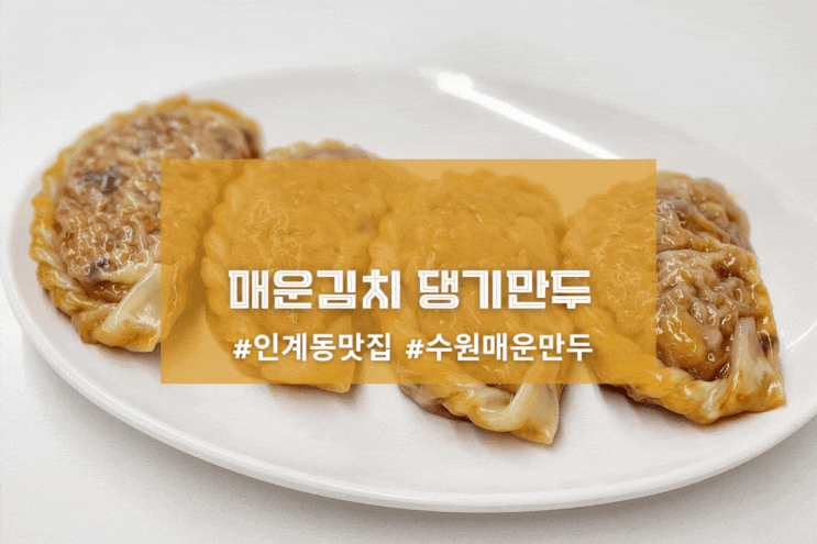  [수원 인계동 언니만두] 매운김치 댕기만두