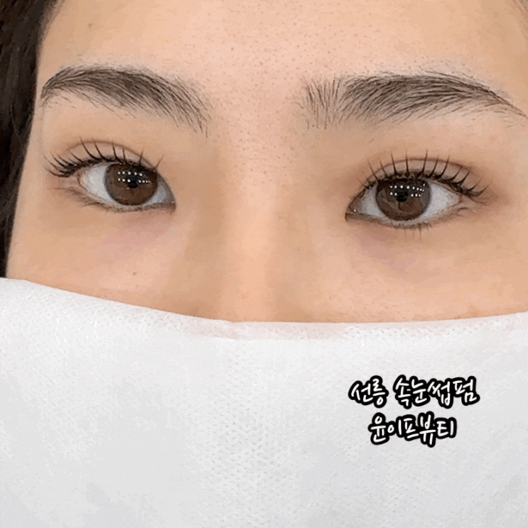  선릉역 속눈썹펌 윤이프뷰티 바짝올라간 컬링 후기