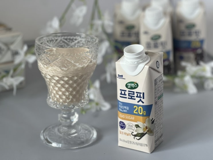  편의점 단백질 음료 추천 마시는 프로틴 쉐이크 셀렉스 프로핏