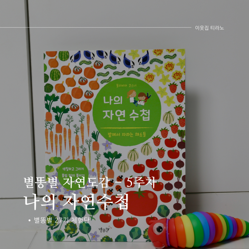 블로그 후기 사진